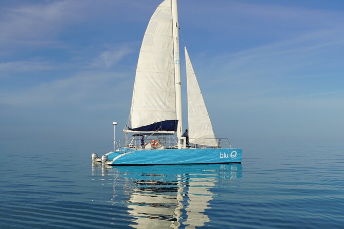 Key West Dolphin Watch and Sunset Sail on Catamaran - Price and what you actually get for $117.17