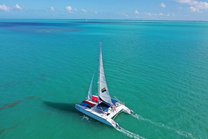 Key West Dolphin Watch and Sunset Sail on Catamaran - Crew energy matters: named voices and a calm, helpful vibe