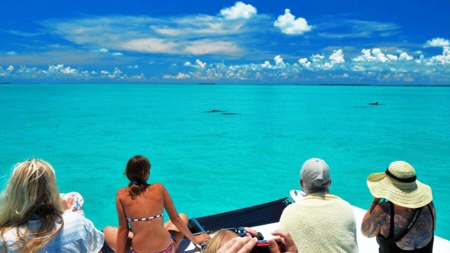 Key West: Dolphin Watching and Snorkeling Eco Cruise Tour - Meeting Point and Timing: Where You Start and How to Not Miss It