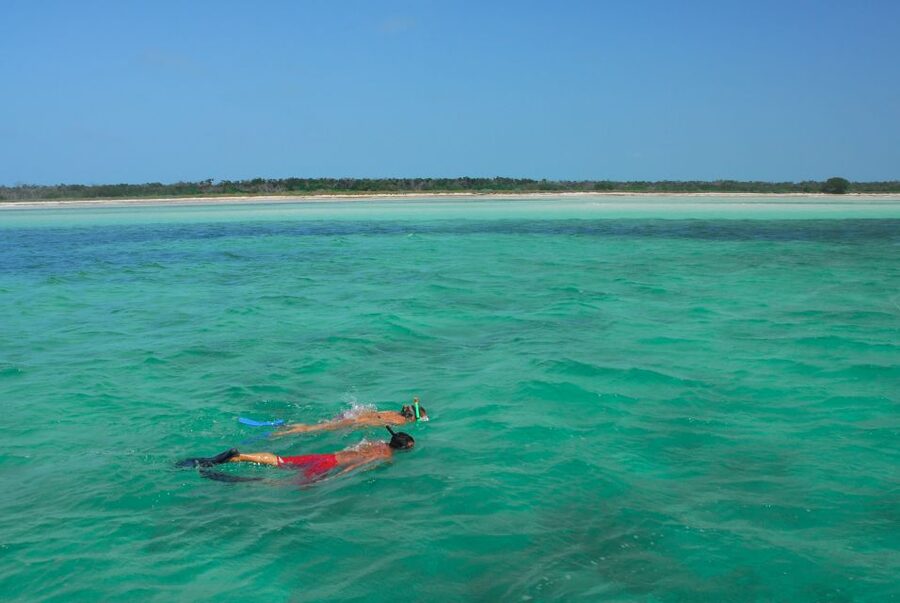 Key West: Dolphin Watching and Snorkeling Eco Cruise Tour - The Snorkel Stop in Key West Wildlife Refuge Waters