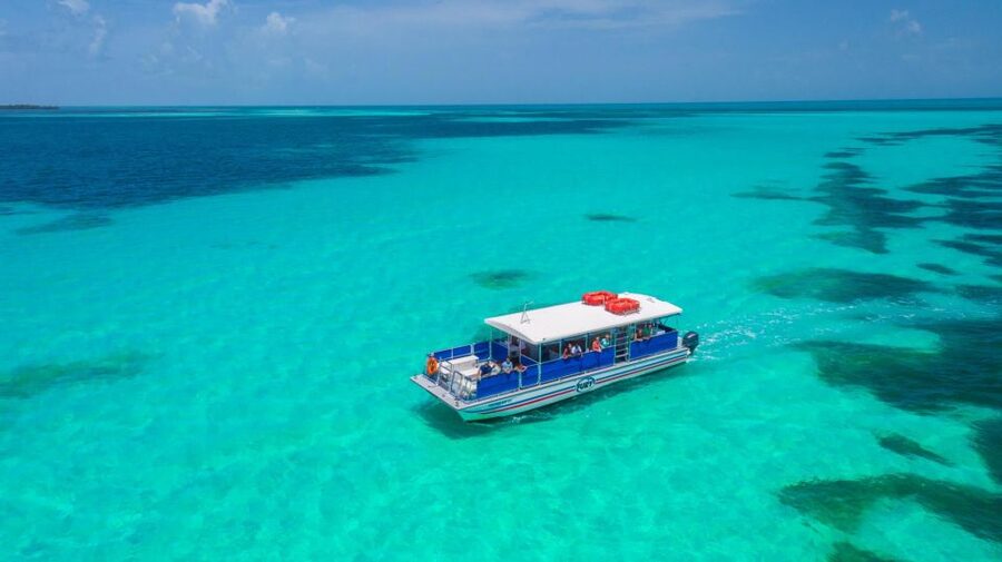 Key West: Dolphin Watching and Snorkeling Eco Cruise Tour - The Catamaran Experience: Shade, Comfort, and a Nice Pace