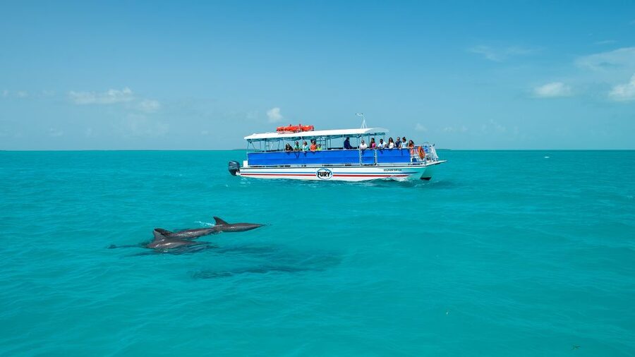 Key West: Dolphin Watching and Snorkeling Eco Cruise Tour - Price and Value: Is $79 Worth It?
