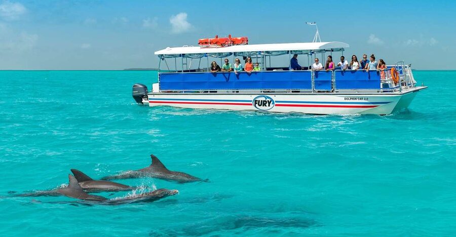 Key West: Dolphin Watching and Snorkeling Eco Cruise Tour - Who Should Book This (and Who Should Skip It)