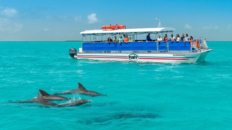 Key West: Dolphin Watching and Snorkeling Eco Cruise Tour - What You Bring (and What Can Get You Turned Away)
