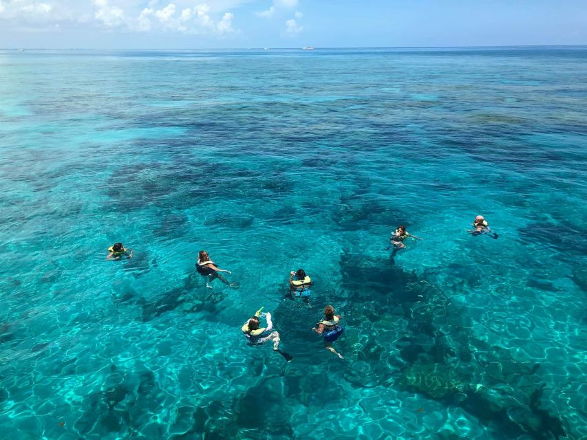 Key West: Dolphin Watching and Snorkeling Sunset Cruise - Should You Book This Key West Dolphin and Snorkeling Sunset Cruise?