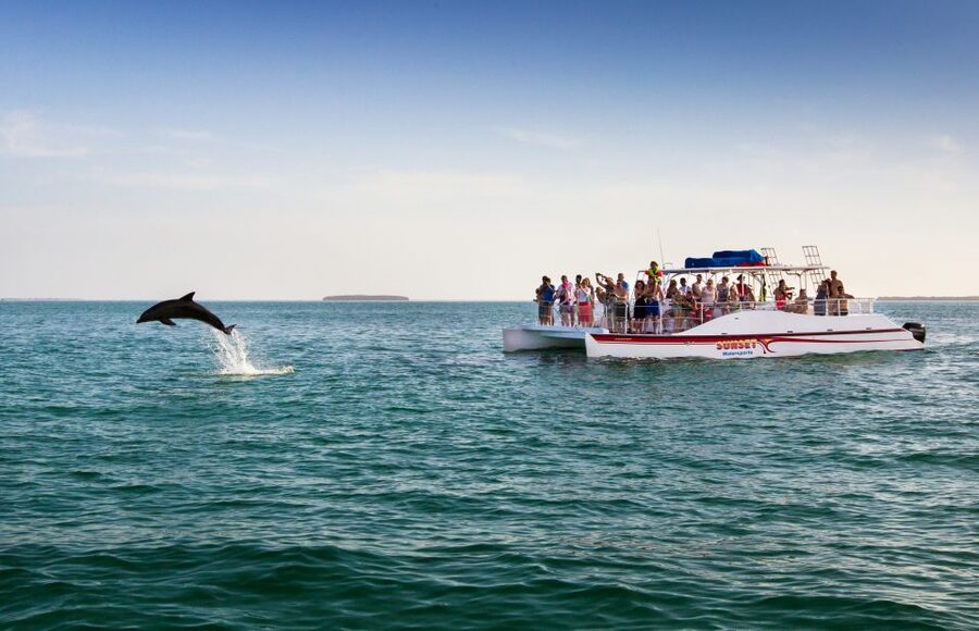 Key West: Dolphin Watching and Snorkeling Sunset Cruise - Price and Value: Is $79 a Good Deal Here?