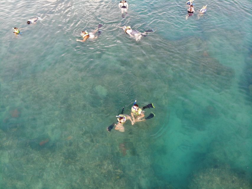 Key West: Dolphin Watching and Snorkeling Sunset Cruise - Who Should Book This Cruise (and Who Might Skip It)