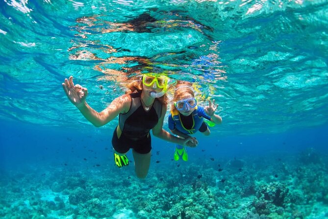 Key West: Dolphin Watching cruise & Snorkeling unlimited beer & soda - Onboard Comfort: A 55-Foot Yacht With Drinks and Restrooms