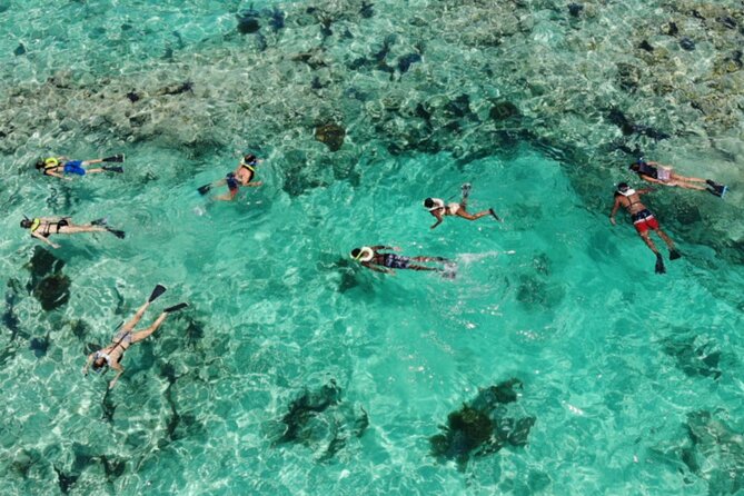 Key West: Dolphin Watching cruise & Snorkeling unlimited beer & soda - What to Bring (So Snorkeling Is Stress-Free)