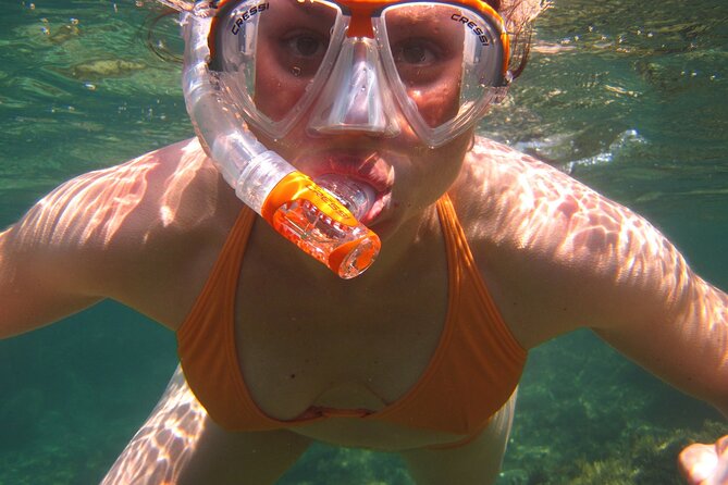Key West: Dolphin Watching cruise & Snorkeling unlimited beer & soda - Price and Value at $89.99: What You’re Really Buying