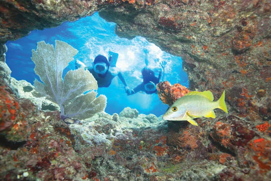 Key West Double Dip: 2-Stop Reef Snorkeling Trip - Key West Double Dip Reef Snorkeling Trip: Quick Takeaways