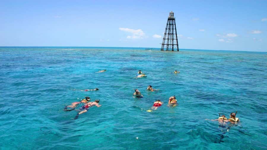 Key West Double Dip: 2-Stop Reef Snorkeling Trip - Reef Express Catamaran: Getting to the Coral Faster Than You Think