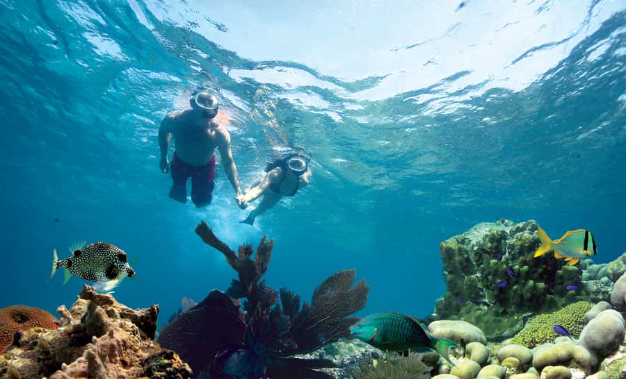 Key West Double Dip: 2-Stop Reef Snorkeling Trip - Gear, Coaching, and Safety: How This Tour Helps You Enjoy the Water