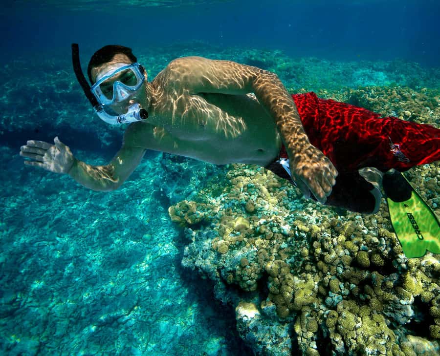Key West Double Dip: 2-Stop Reef Snorkeling Trip - Sunset Combo Adds a Second Act: Champagne in Golden Light