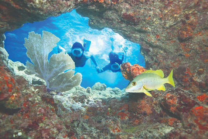 Key West Double-Dip Snorkel Tour-Two Stops, Twice the Fun! - Beverages and Wind-Down: Beer or Wine After You’re Done in the Water