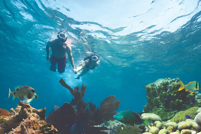 Key West Double-Dip Snorkel Tour-Two Stops, Twice the Fun! - Meeting at 631 Greene St: What to Bring and Where to Start