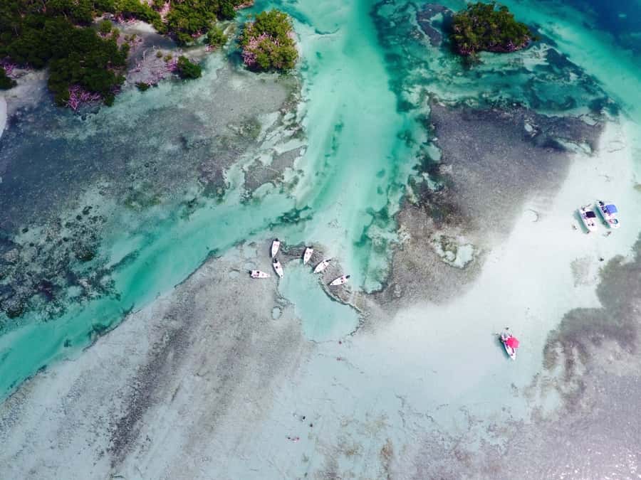 Key West: Eco Safari Sandbar Tour with Snorkeling - Key highlights worth your time