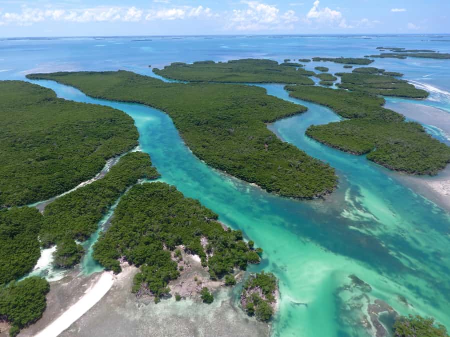 Key West: Eco Safari Sandbar Tour with Snorkeling - Cow Key Marina meet-up: learning to run your own “pistol boat”