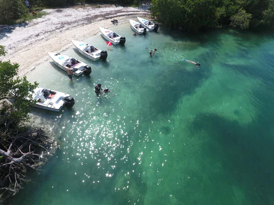 Key West: Eco Safari Sandbar Tour with Snorkeling - Mud Key sandbar: wading, exploring, and why this stop is more than a photo break