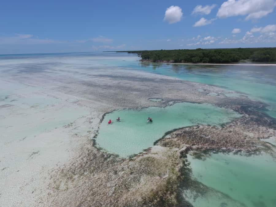 Key West: Eco Safari Sandbar Tour with Snorkeling - Snorkeling time with included gear: practical expectations for the water