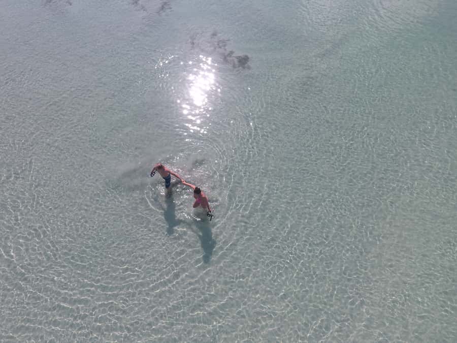 Key West: Eco Safari Sandbar Tour with Snorkeling - The ride back through mangroves: finishing with the same nature energy