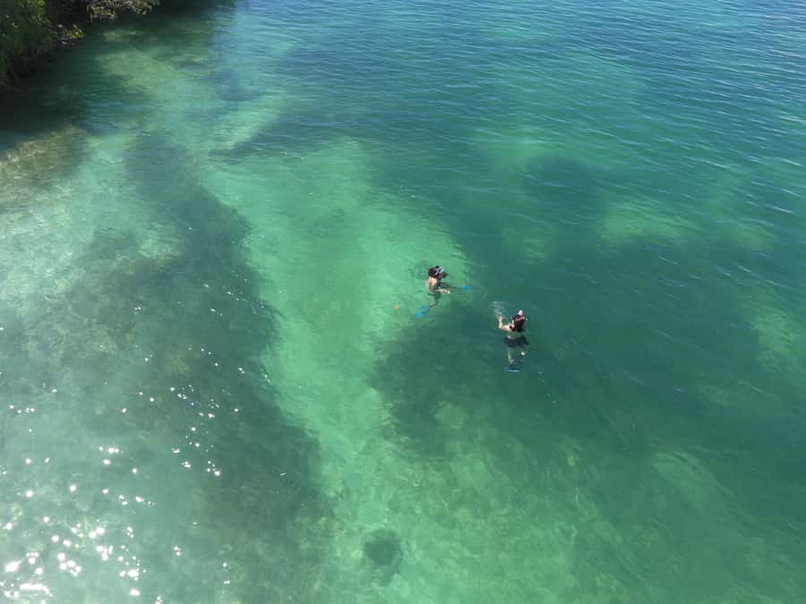 Key West: Eco Safari Sandbar Tour with Snorkeling - Price and value: is $178 per group up to 2 fair?
