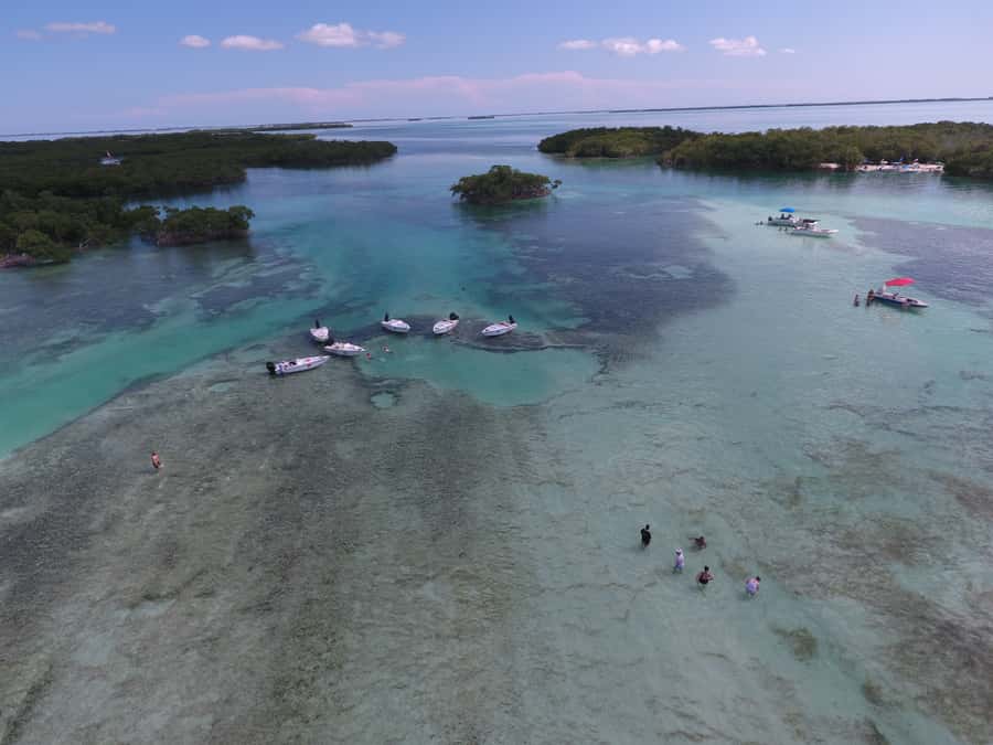 Key West: Eco Safari Sandbar Tour with Snorkeling - Who this tour suits best (and who should consider alternatives)