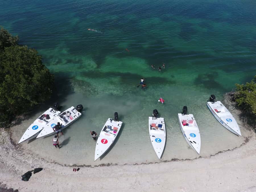 Key West: Eco Safari Sandbar Tour with Snorkeling - Mangrove maze route: where the birds and back country show up