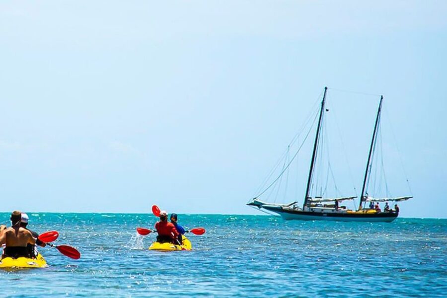 Key West: Full Day Tour of Key West National Wildlife Refuge - The Sail Toward the Refuge: Wildlife Spotting in Motion