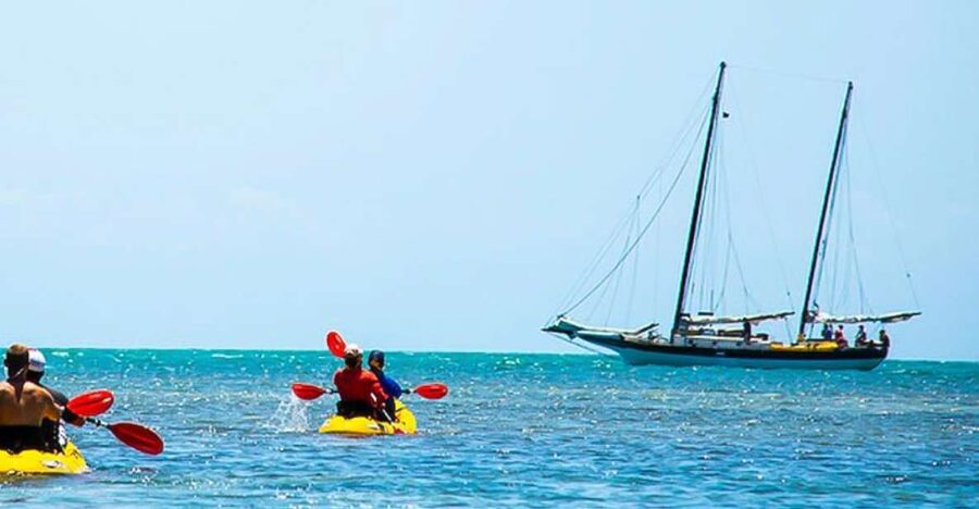 Key West: Full Day Tour of Key West National Wildlife Refuge - Price and Value: Is $119 Fair for This Much Day?