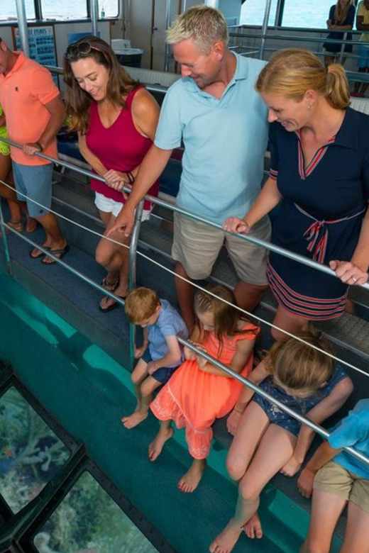 Key West: Glass Bottom Boat Reef Tour with Sunset Option - What You’ll See Under the Glass: Fish, Rays, Sea Turtles, and the Coral Habitat