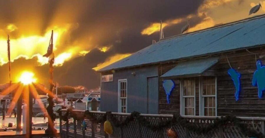 Key West: Hemingway's Life and Local Food Walking Tour - Key Highlights You’ll Care About