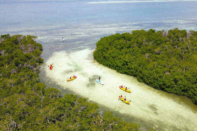 Key West Hidden Sanctuary Mangrove Kayak Tour With Drinks - Quick hits before you book