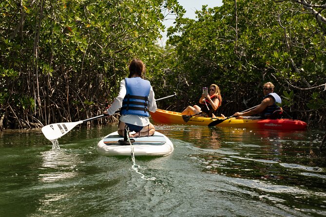 Key West Hidden Sanctuary Mangrove Kayak Tour With Drinks - A short Key West stop for views and bearings