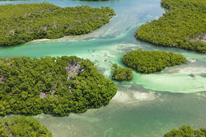 Key West Hidden Sanctuary Mangrove Kayak Tour With Drinks - Captain Logan, Brynn, and Josie: why the crew matters