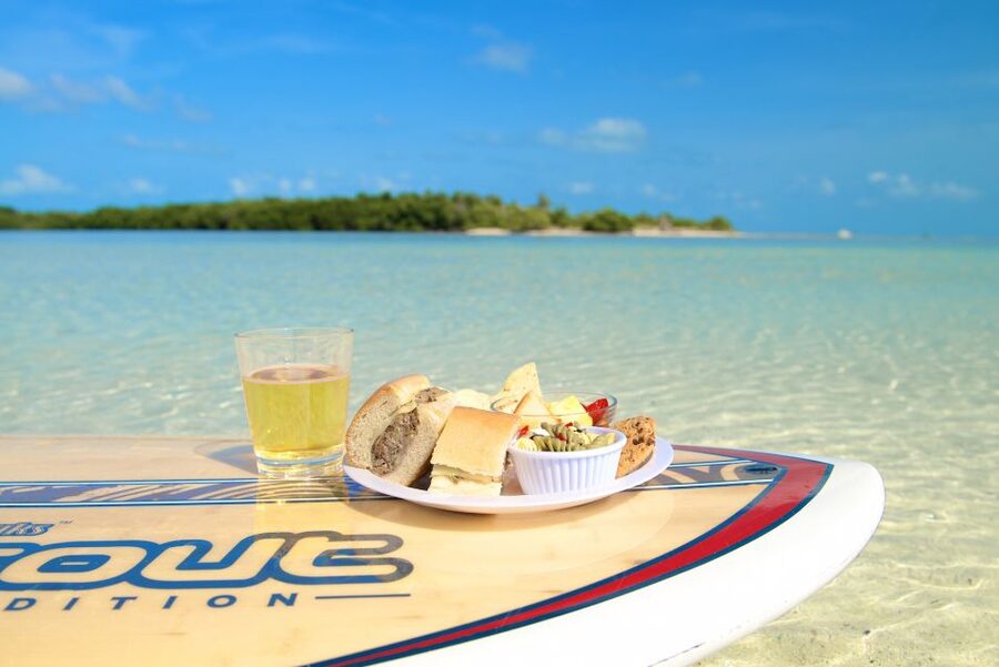 Key West: Island Adventure Sandbar Trip - Price and Value: Is $119 for 3.5 Hours Worth It?