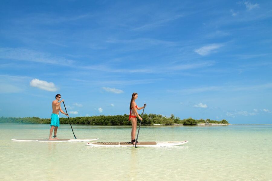 Key West: Island Adventure Sandbar Trip - The Real Vibe: Backcountry Calm in a Crowded Place