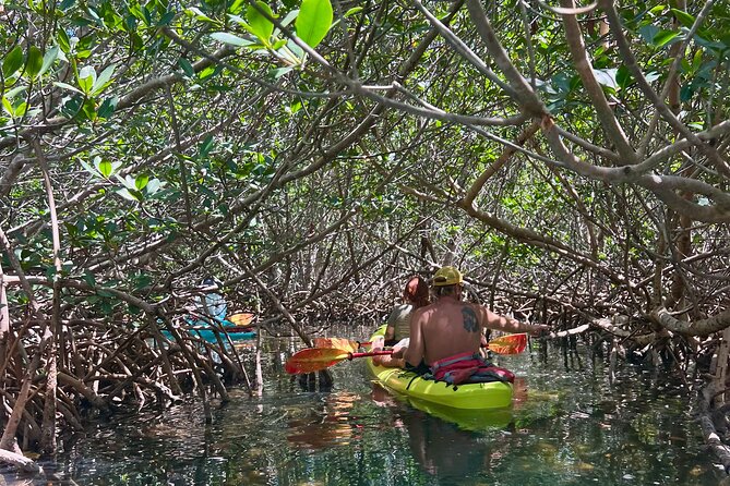 Key West Kayak Eco Tour | An Eco-Friendly Adventure Awaits! - What’s Included in the Price—and What’s Not