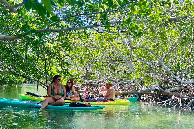 Key West Kayak Eco Tour | An Eco-Friendly Adventure Awaits! - Mobile Ticket and Start-Point Reality (Without the Headaches)