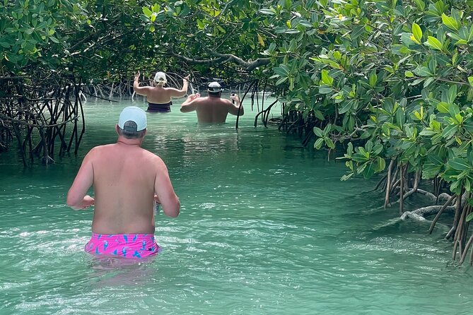 Key West Kayak Eco Tour | An Eco-Friendly Adventure Awaits! - The Eco Angle: What It Likely Means for Your Experience