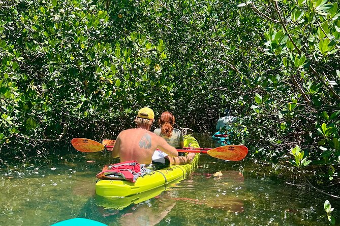 Key West Kayak Eco Tour | An Eco-Friendly Adventure Awaits! - Weather and Timing: When This Trip Goes Right (and When It Doesn’t)