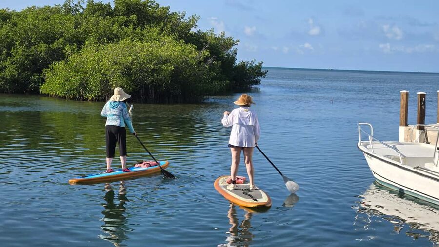 Key West: Kayak or Paddleboard Rental - Gear notes that change how comfortable you feel on the water