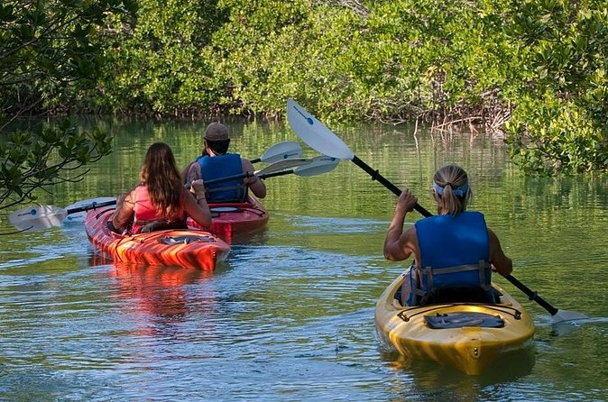 Key West Kayak Rental - Maps, Signage, and How to Avoid the Most Common Headache