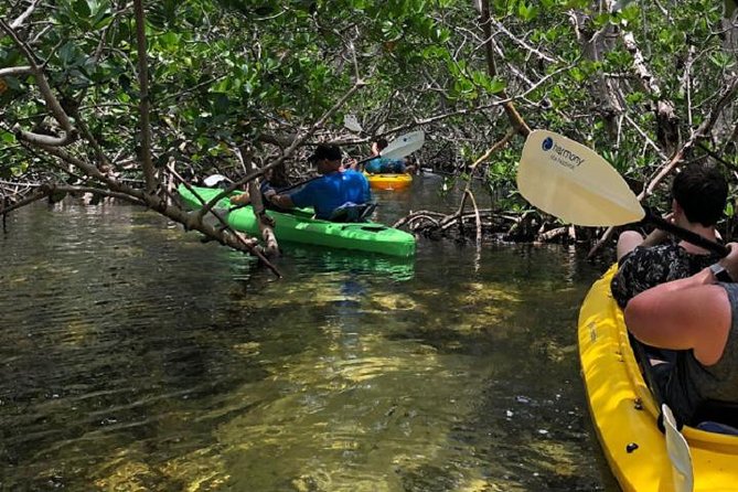 Key West Kayak Rental - Price and Value: Is $40 Per Person a Fair Deal?
