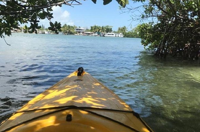 Key West Kayak Rental - Best Fit: Who This Kayak Rental Makes Sense For