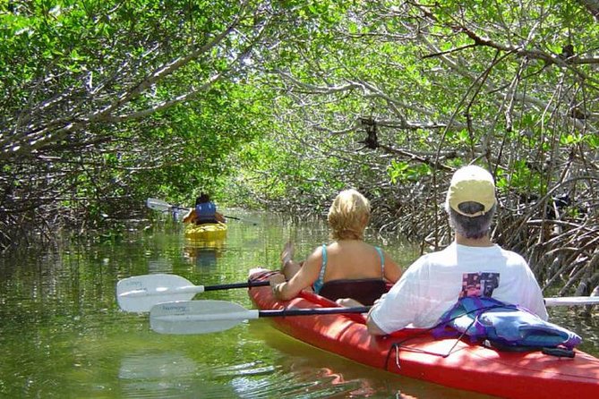 Key West Mangrove Kayak Eco Tour - Key West Mangrove Kayak Eco Tour: Quick, Useful Highlights