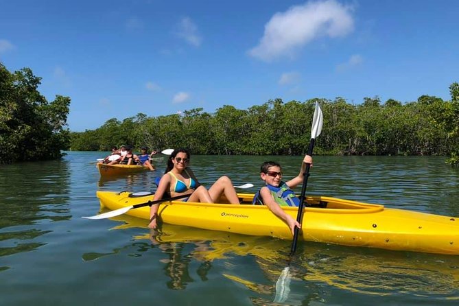 Key West Mangrove Kayak Eco Tour - Why Key West Mangroves Feel So Different From Open-Water Kayaks