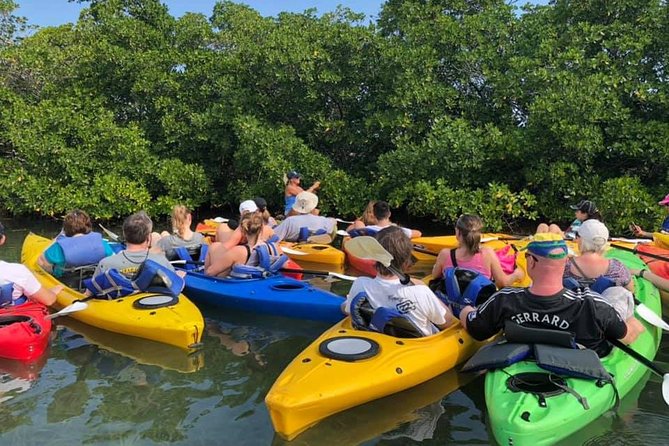 Key West Mangrove Kayak Eco Tour - Comfort Tips That Make or Break a Mangrove Kayak Day
