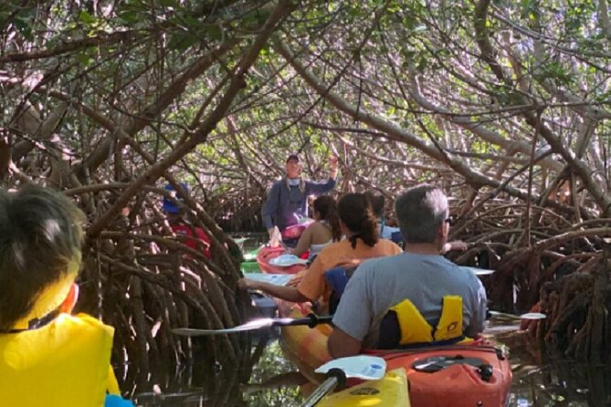Key West Mangrove Kayak Eco Tour - Single vs Double Kayaks: What Changes on the Water