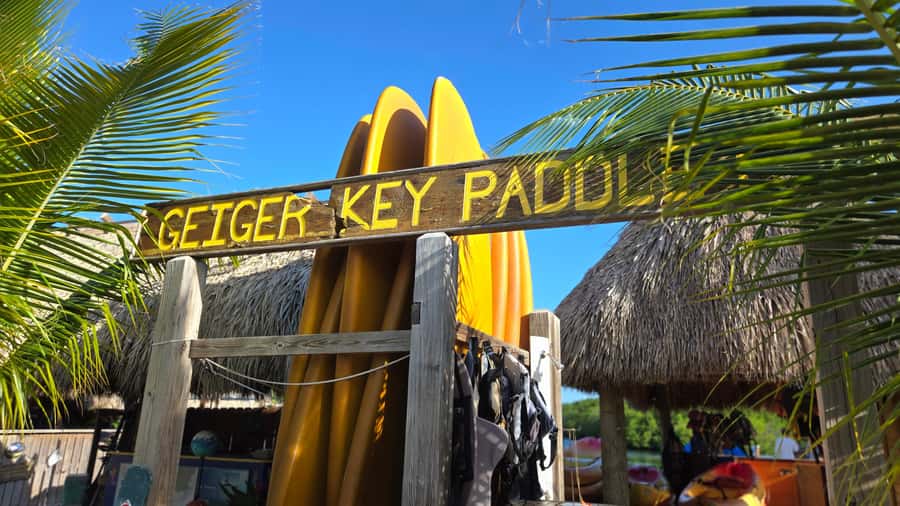 Key West: Mangrove Kayak or SUP Eco Tour - Why Key West mangroves are a smart 2-hour plan